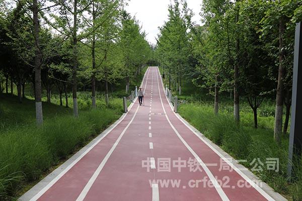 绿色漫道 绿色漫道