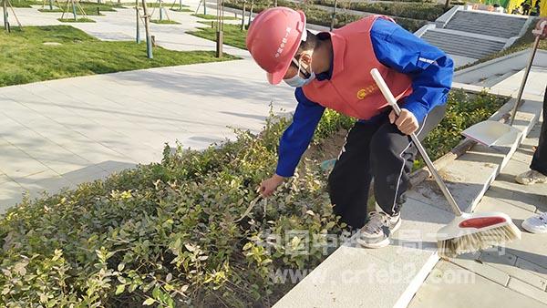 清理树坑垃圾 清理树坑垃圾