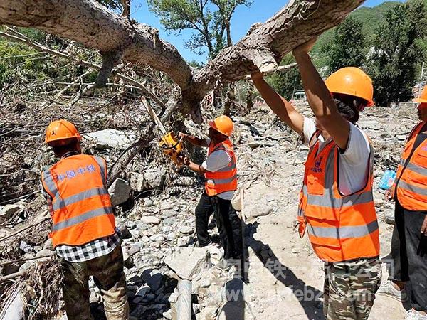 抢险人员清理倒伏的树木1 抢险人员清理倒伏的树木1