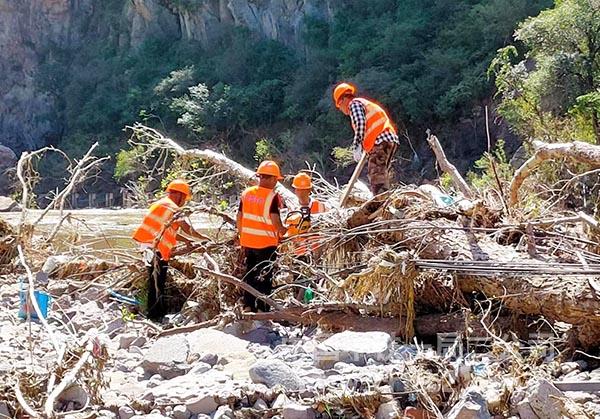 抢险人员清理倒伏的树木2 抢险人员清理倒伏的树木2