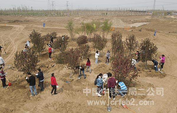 师生林间植树 师生林间植树