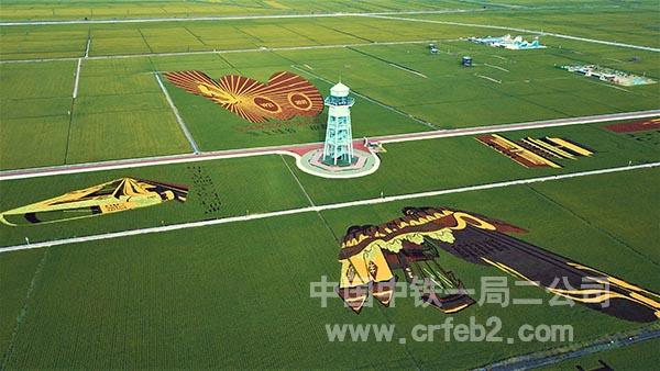 稻田画震撼磅礴 稻田画震撼磅礴