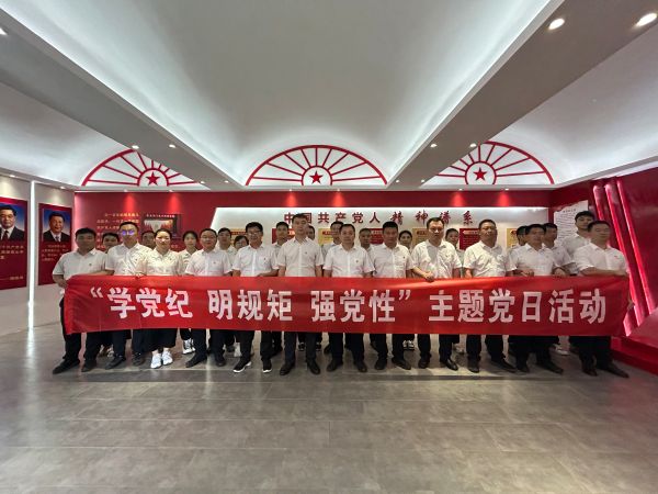 5、主题党日活动