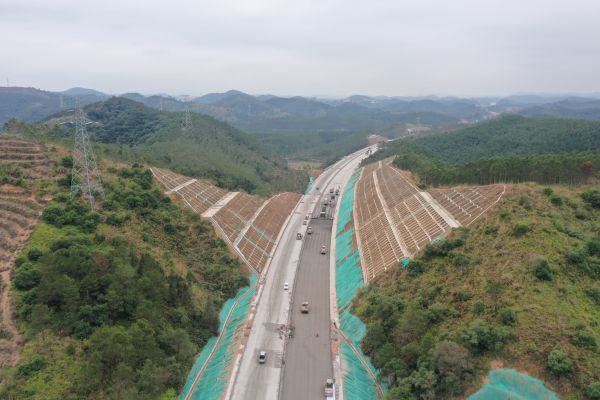 3D摊铺全景