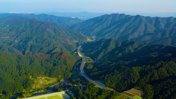 中铁一局五公司两项工程荣获全国绿色建造水...